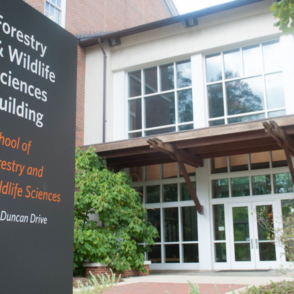 Auburn Forestry Alabama News