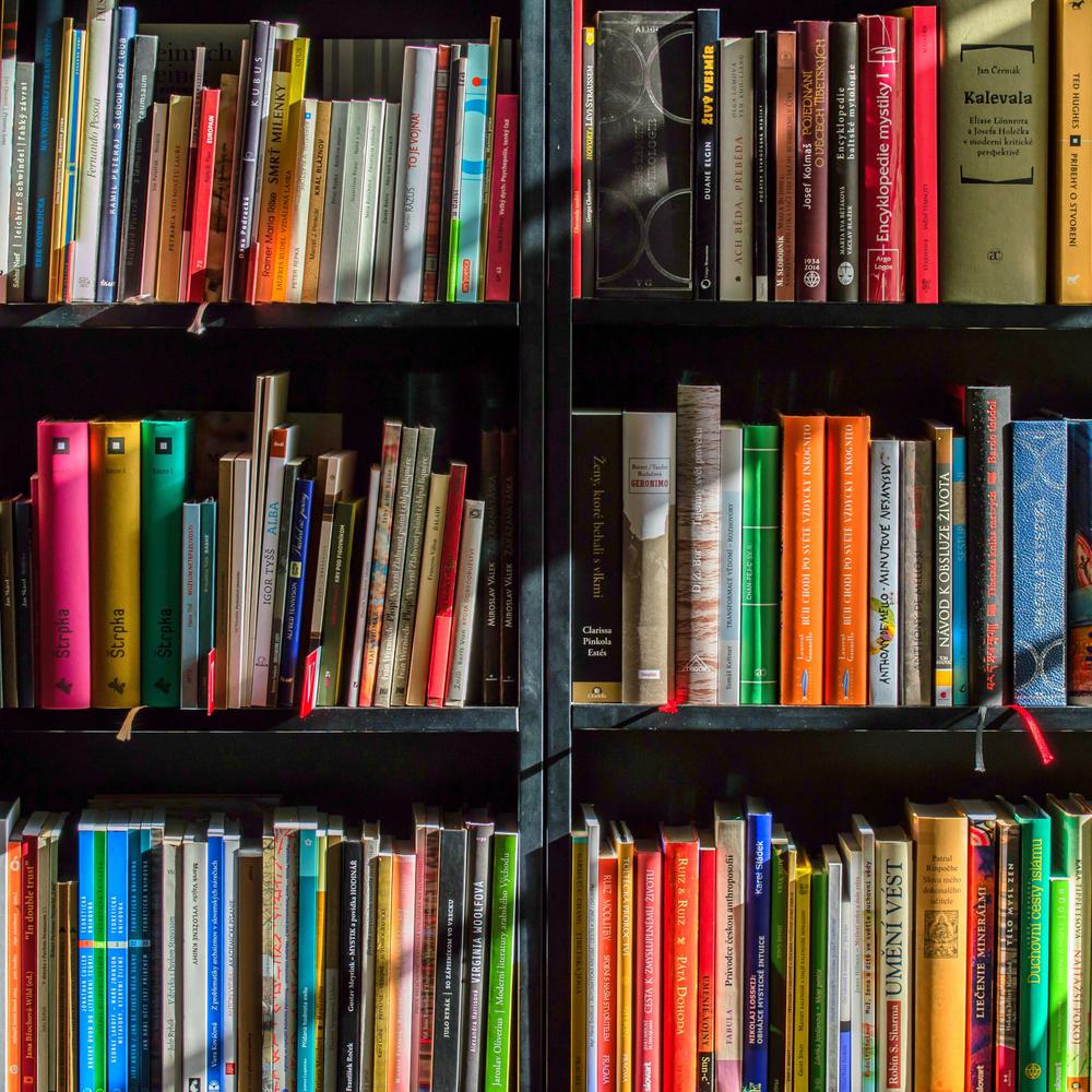 Bookcase books bookshelves 159711 pexels com Alabama News