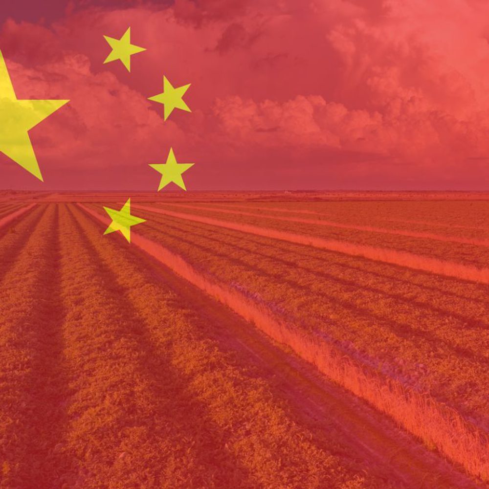 Farmland landscape in summer season with growing crops. Agricultural cultivated field. Farming and agriculture industry stock photo Alabama News