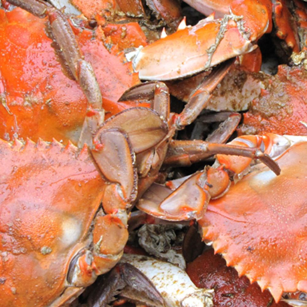 Crab meat seafood by Alvin Matthews Alabama News