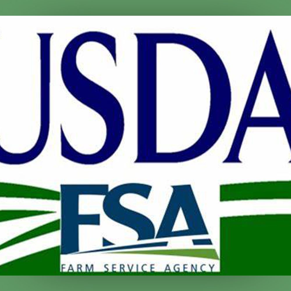 File 28921e37 fdbf 46ad afb3 de22cb56d89e Alabama News