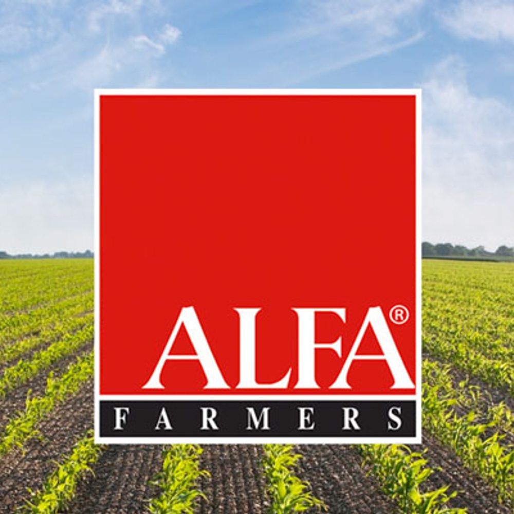 File 2baa5a63 32c2 440f 9b8b 81b6e7b6c87b Alabama News