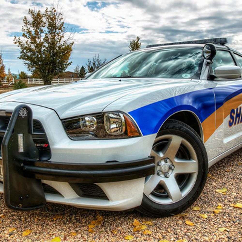 File 840662e5 d323 465b 9187 cee05fc7dd3f Alabama News