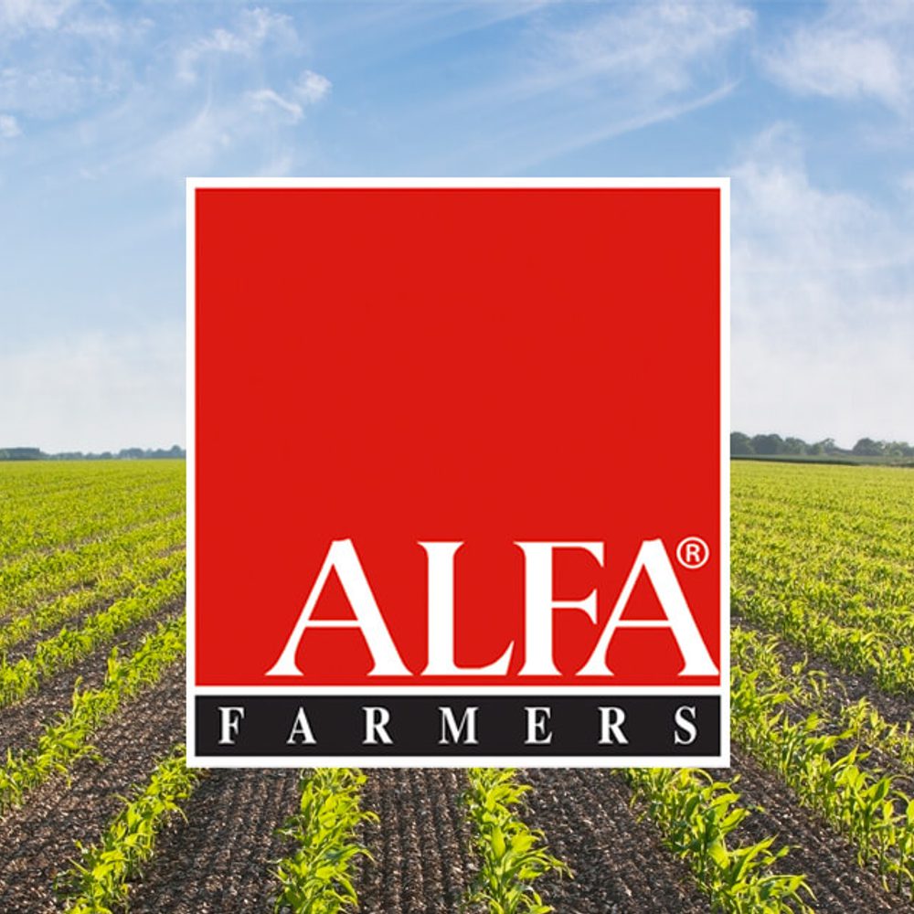 File 84807f19 8822 4d3f b58c 01884f6c6dd0 Alabama News