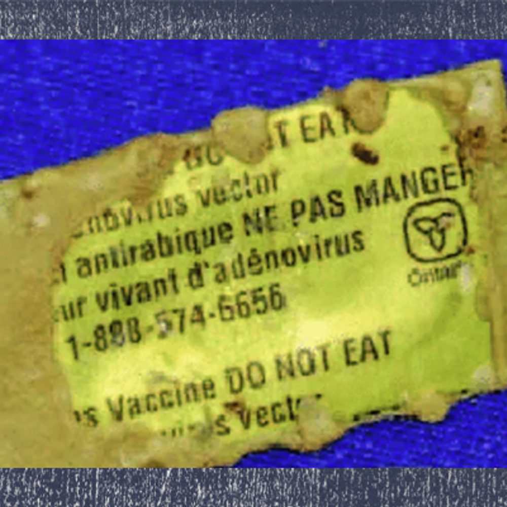 File 8dcce21a 28ee 4236 9090 148e1c8a55f7 Alabama News