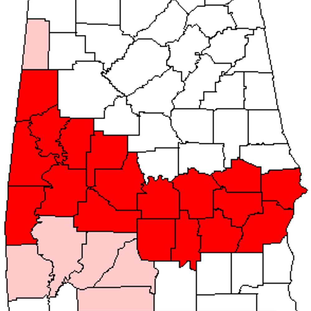 File b4826c35 8a0b 40b8 bcc0 f92025634e8a Alabama News