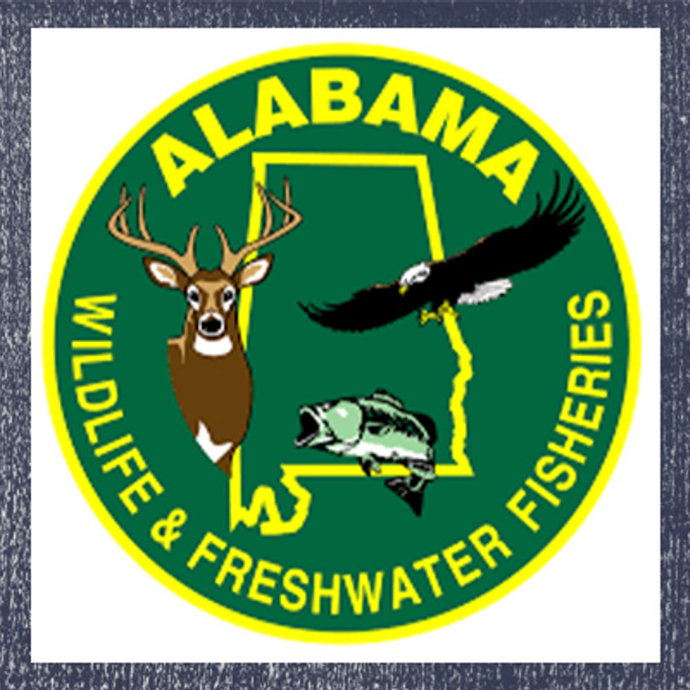 File c26e1873 7b9a 46bd 8a2f a44844972a94 Alabama News