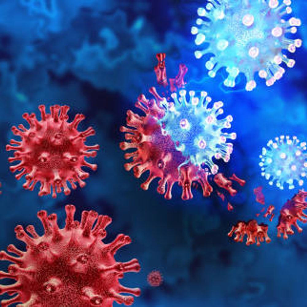 Flu Alabama News