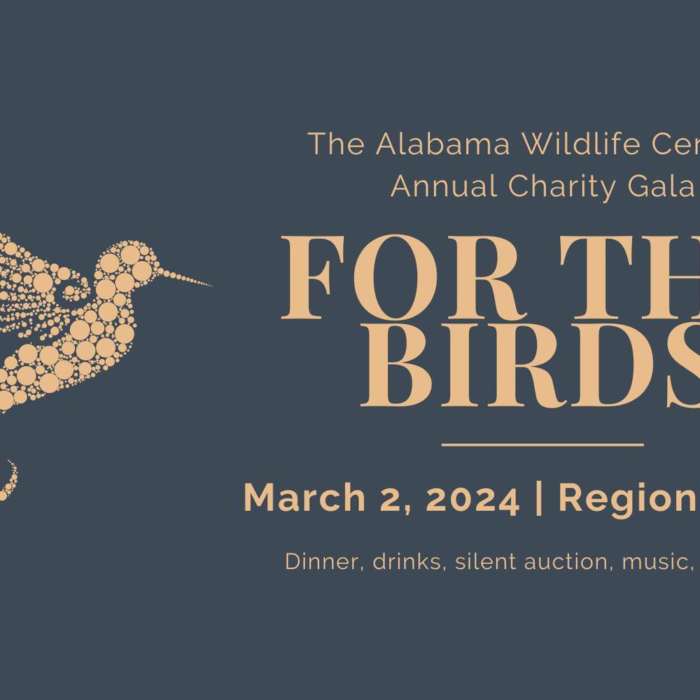 Forthebirds Alabama News