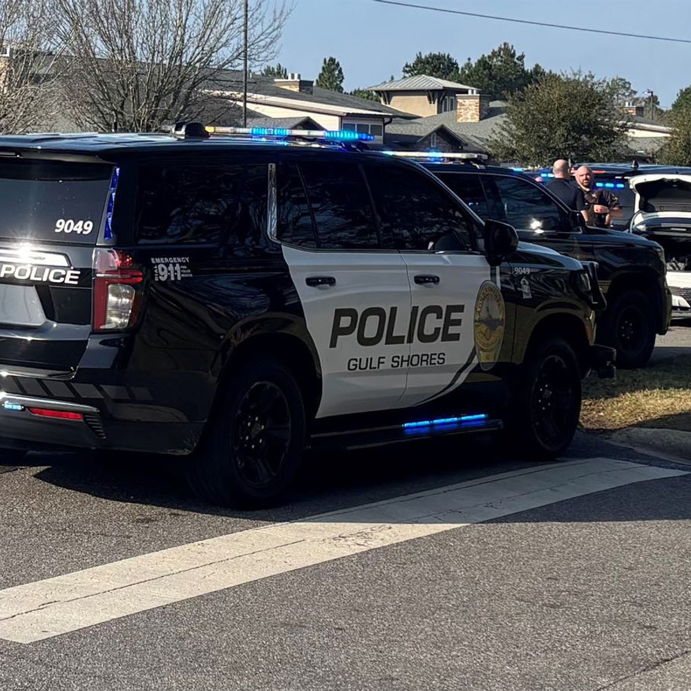 Gulfshoreschase Alabama News