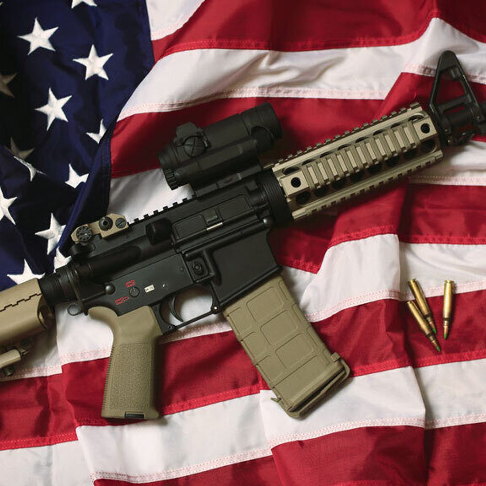 Gun Alabama News