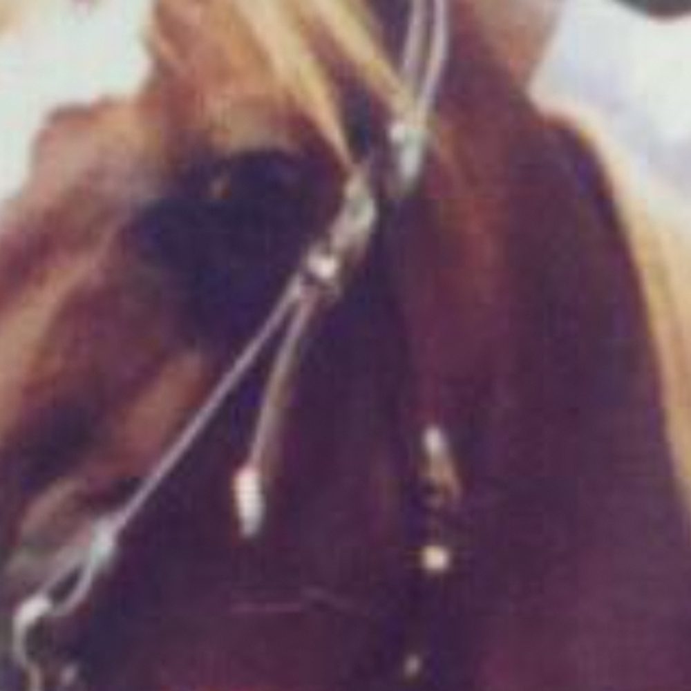 Horse Alabama News