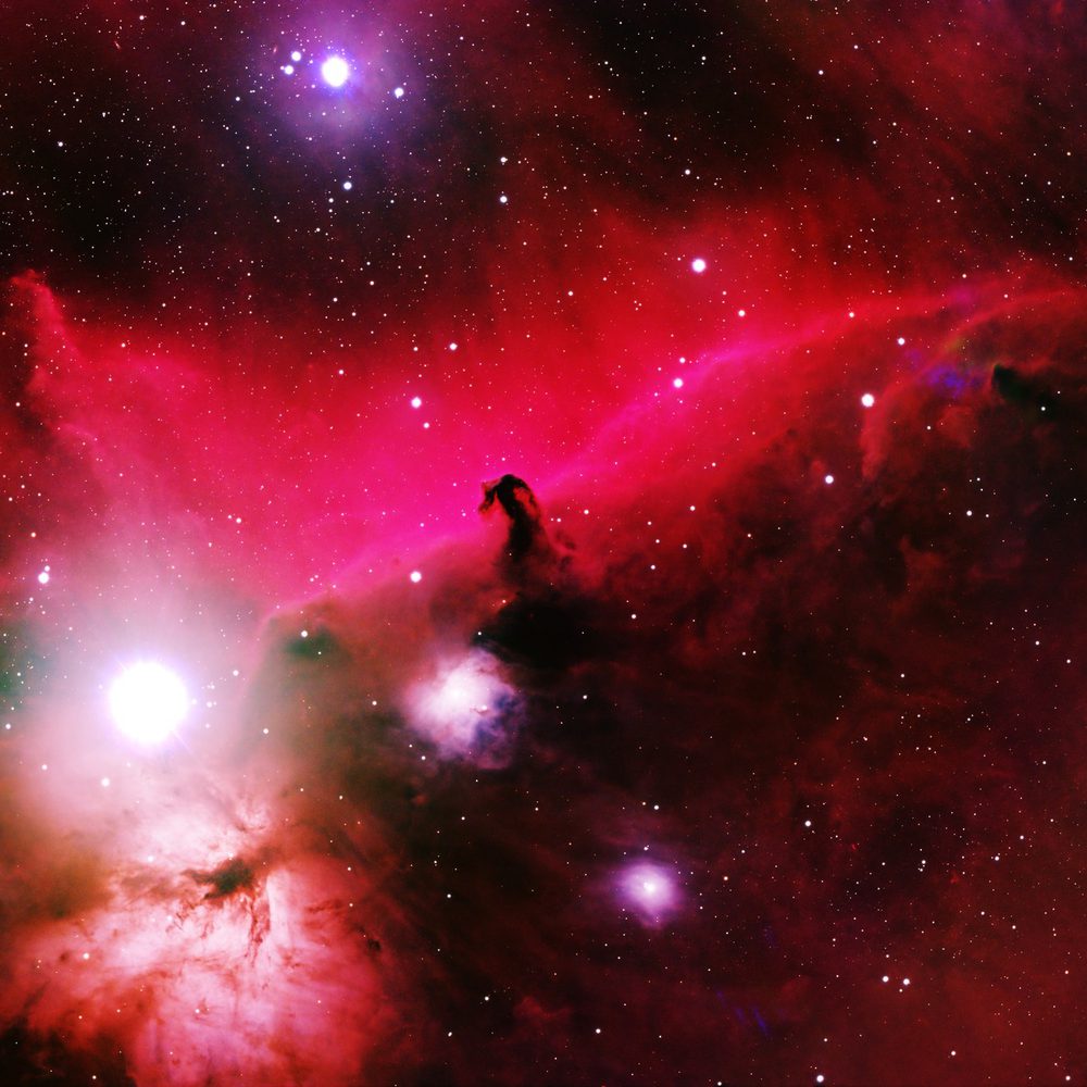 Horseheadnebula Alabama News