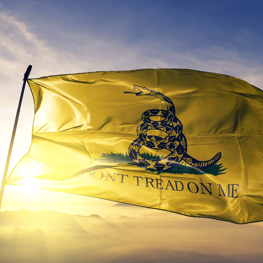 Gadsden flag Alabama News
