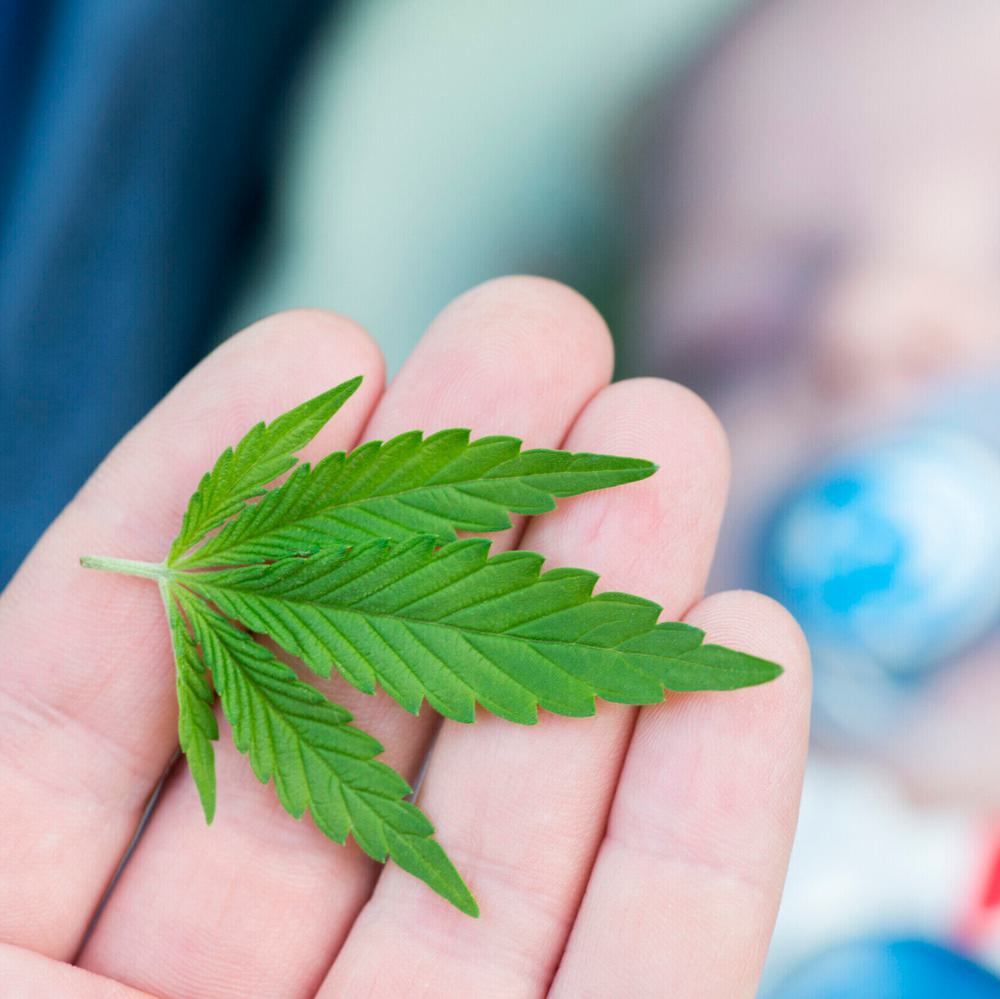 marijuana leaf baby Alabama News