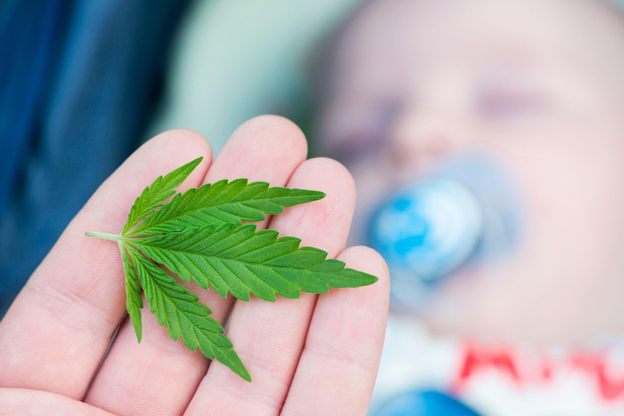 marijuana leaf baby