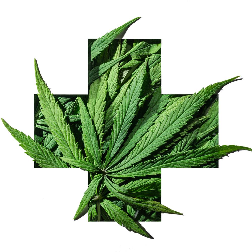 marijuana leaf Alabama News