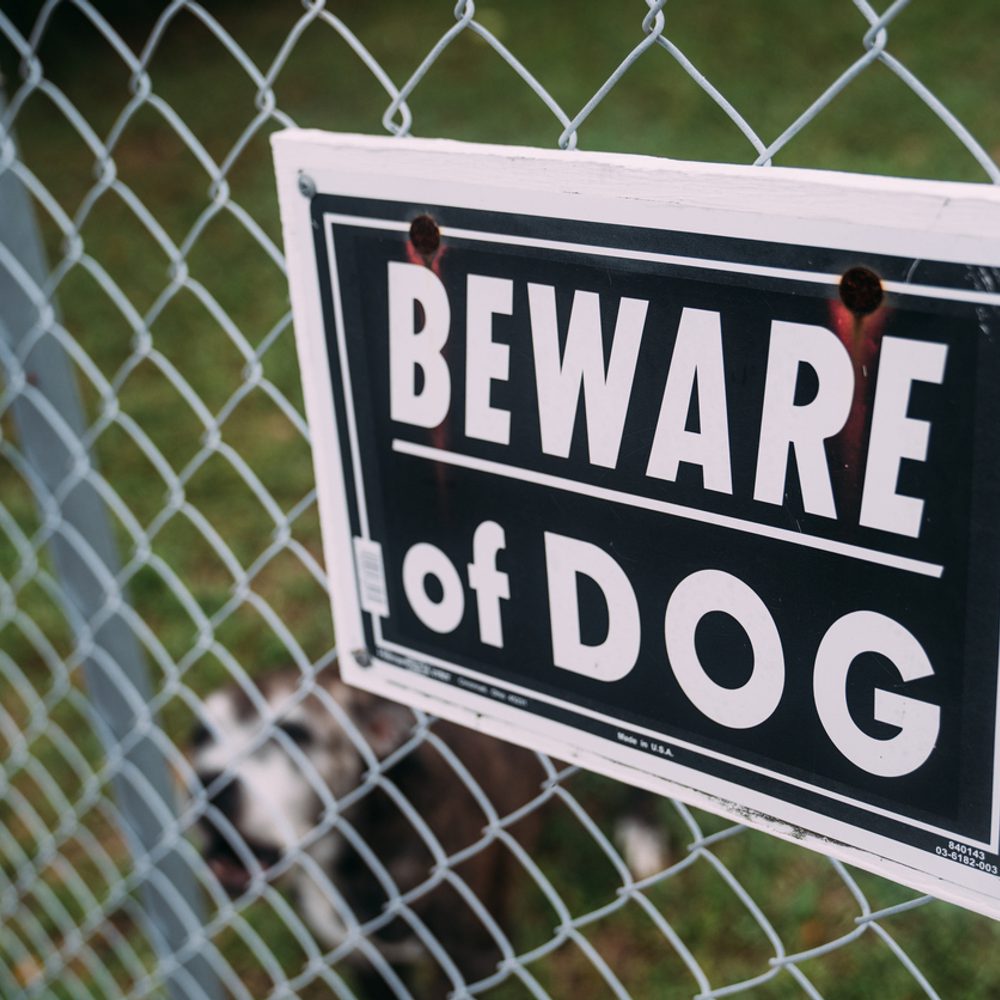 Dog Behind Beware of Dog sign stock photo Alabama News