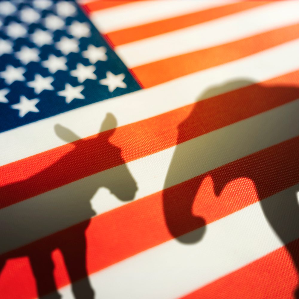 Animal shadows on the flag. Democrats vs republicans are in ideological duel on the american flag. In American politics US parties are represented by either the democrat donkey or republican elephant stock photo Alabama News