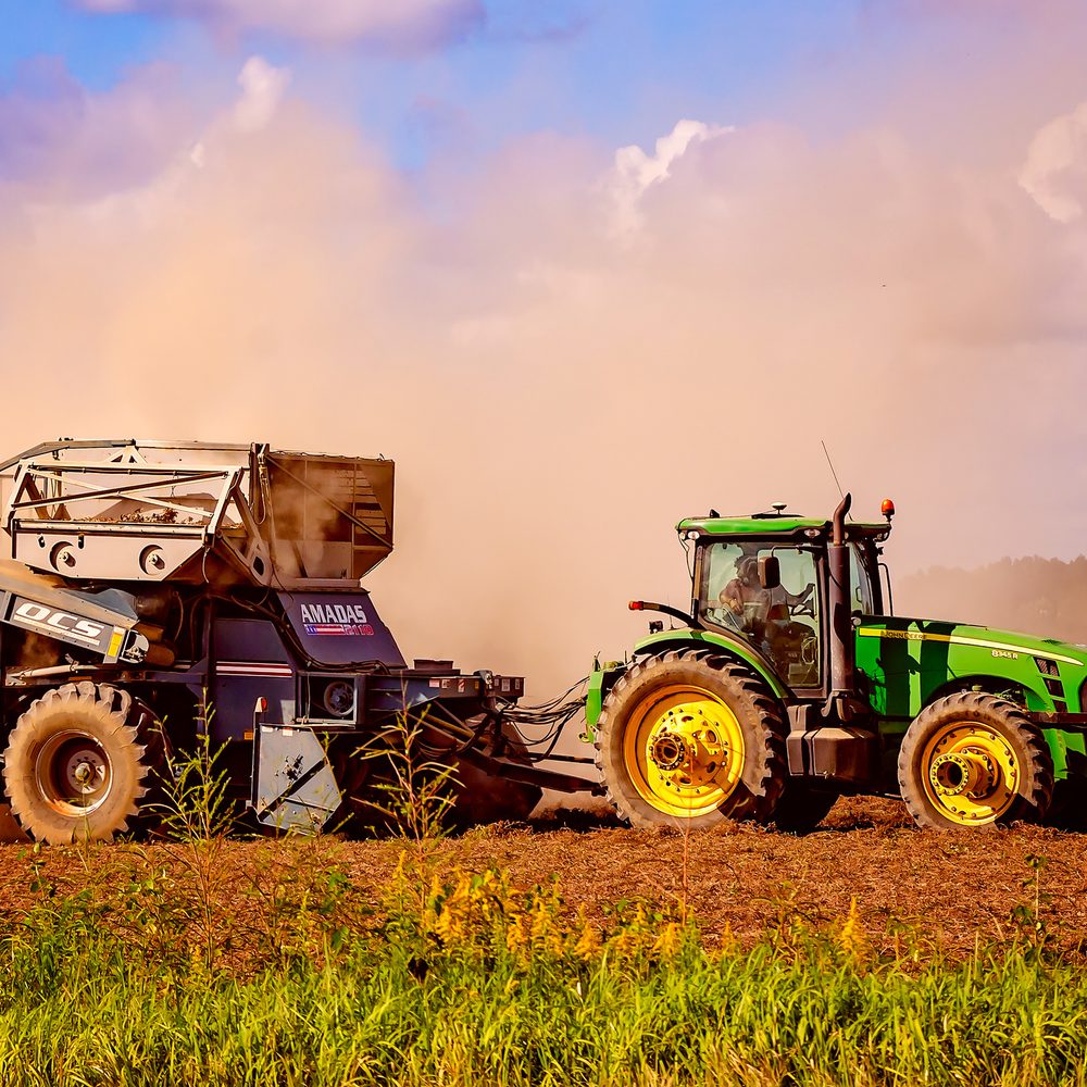 Grand Bay peanut farm Alabama News