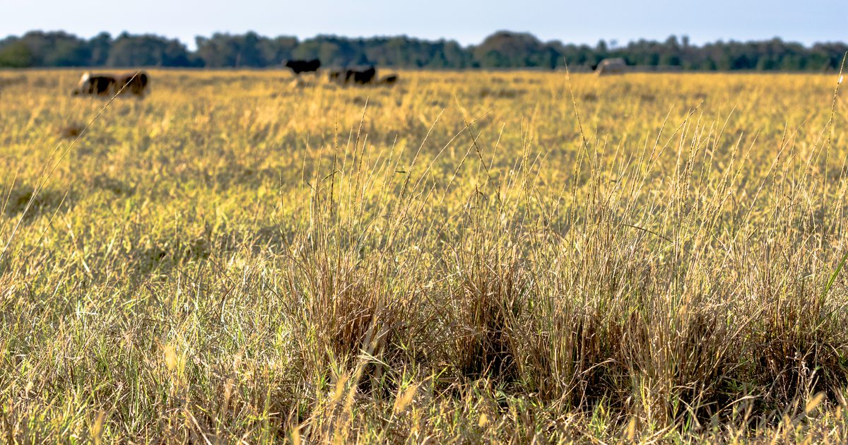 Drought conditions improve across the state