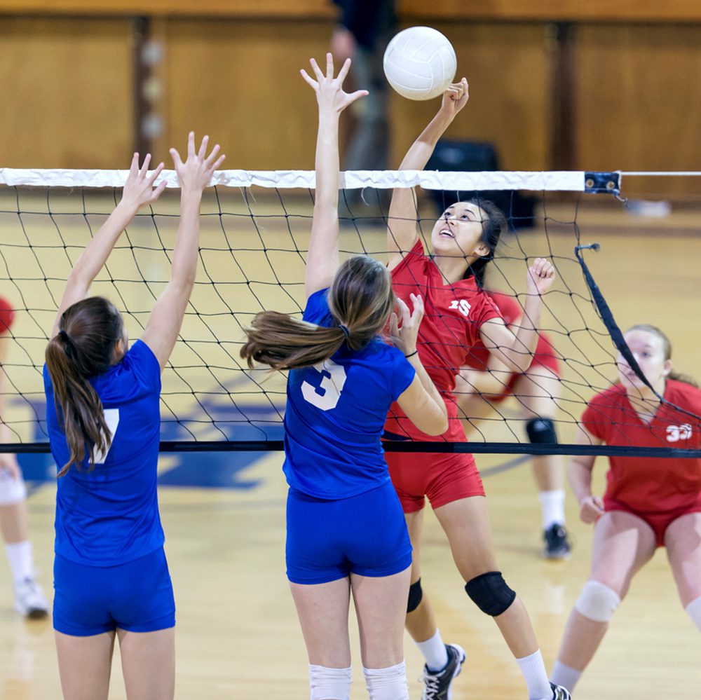 volleyball Alabama News