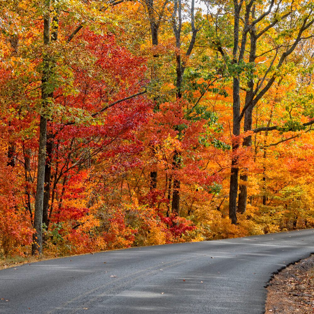 Autumn, fall Alabama News