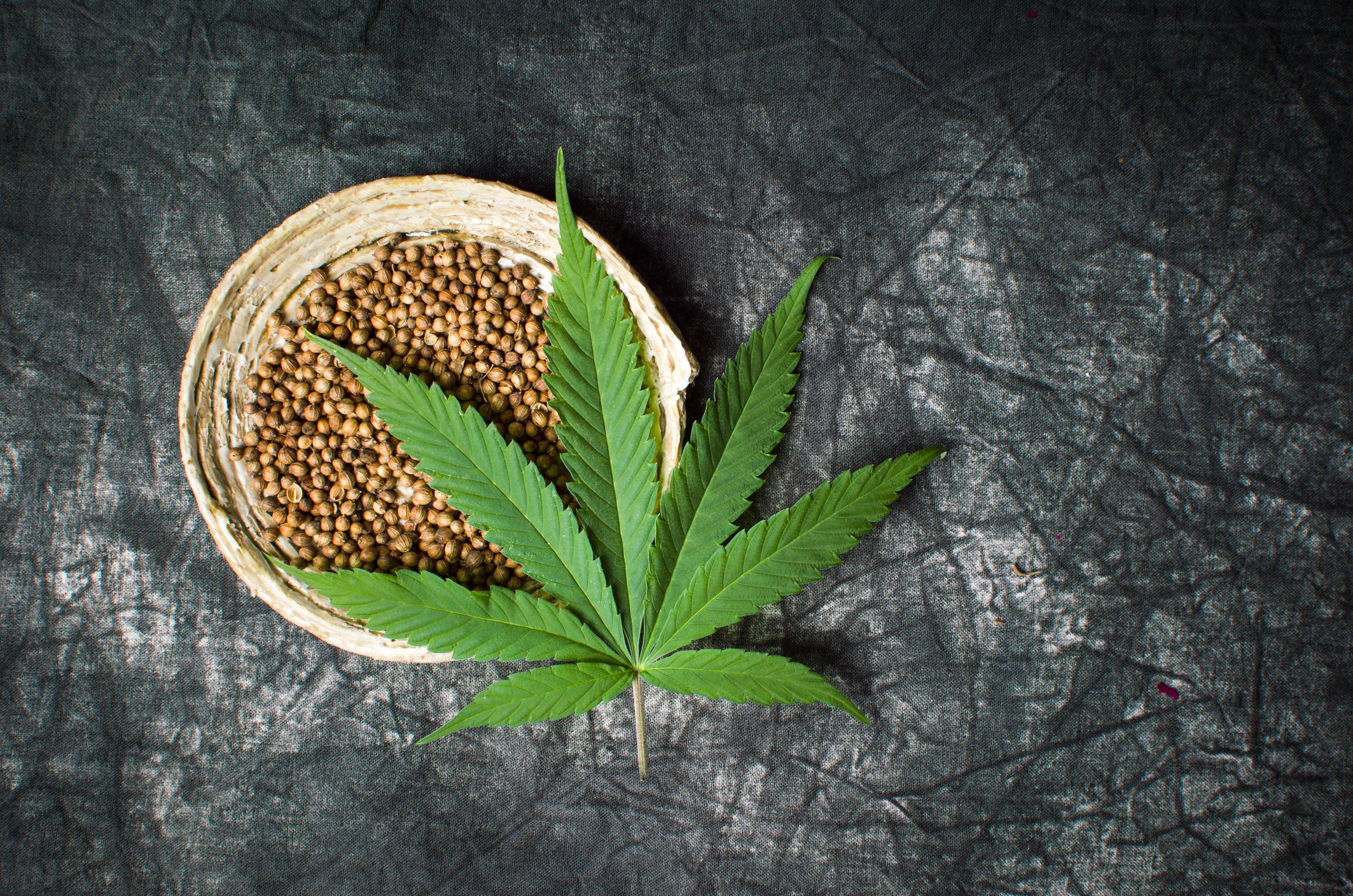 Marijuana plant seeds