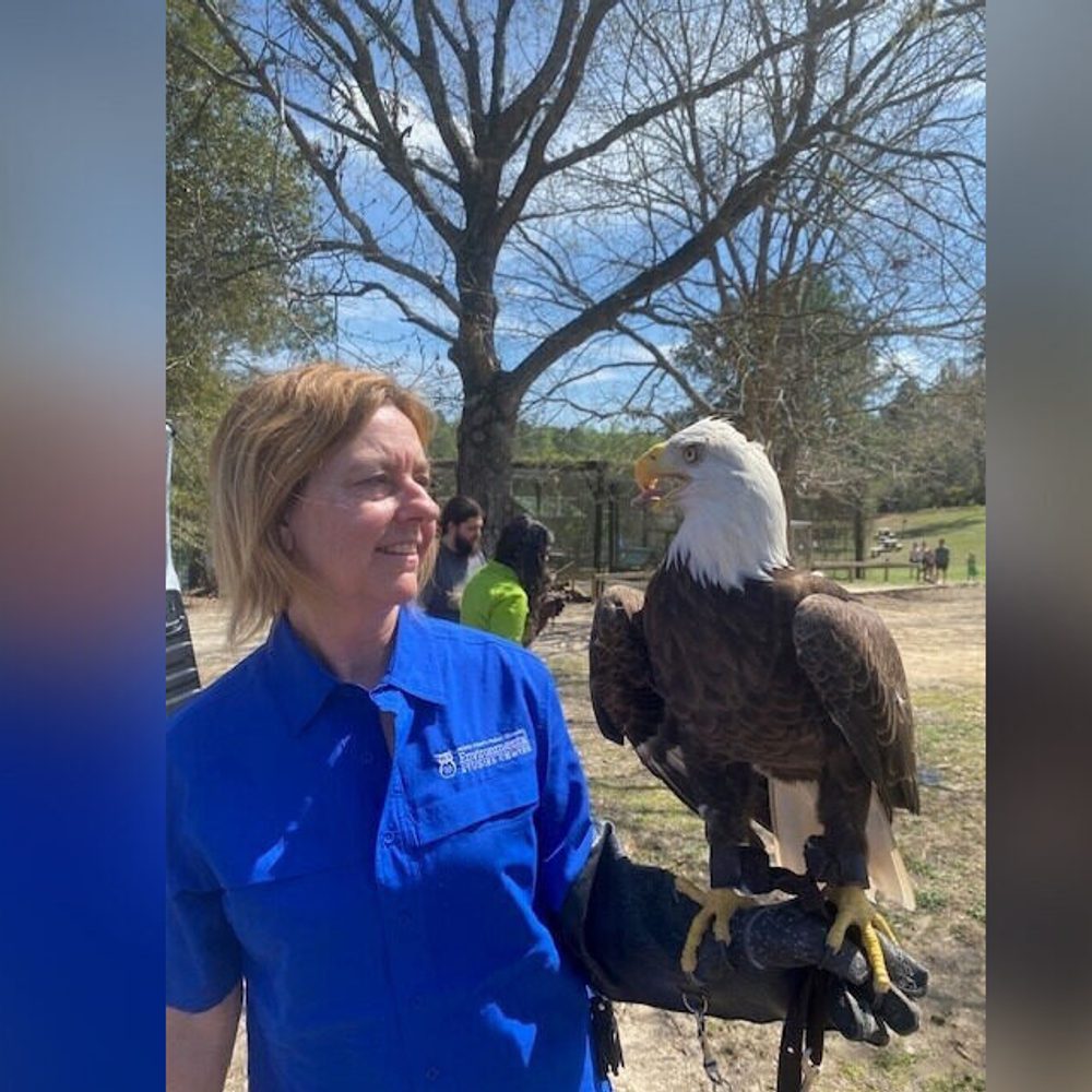 Eagleesc Alabama News