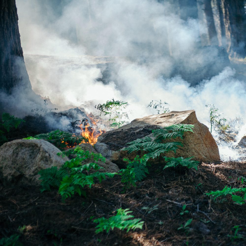 controlled burn Alabama News