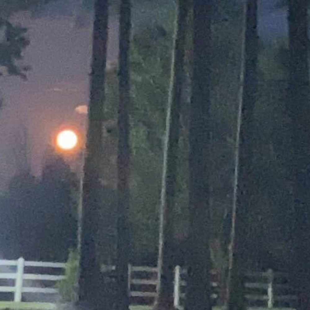Moon stinson Alabama News