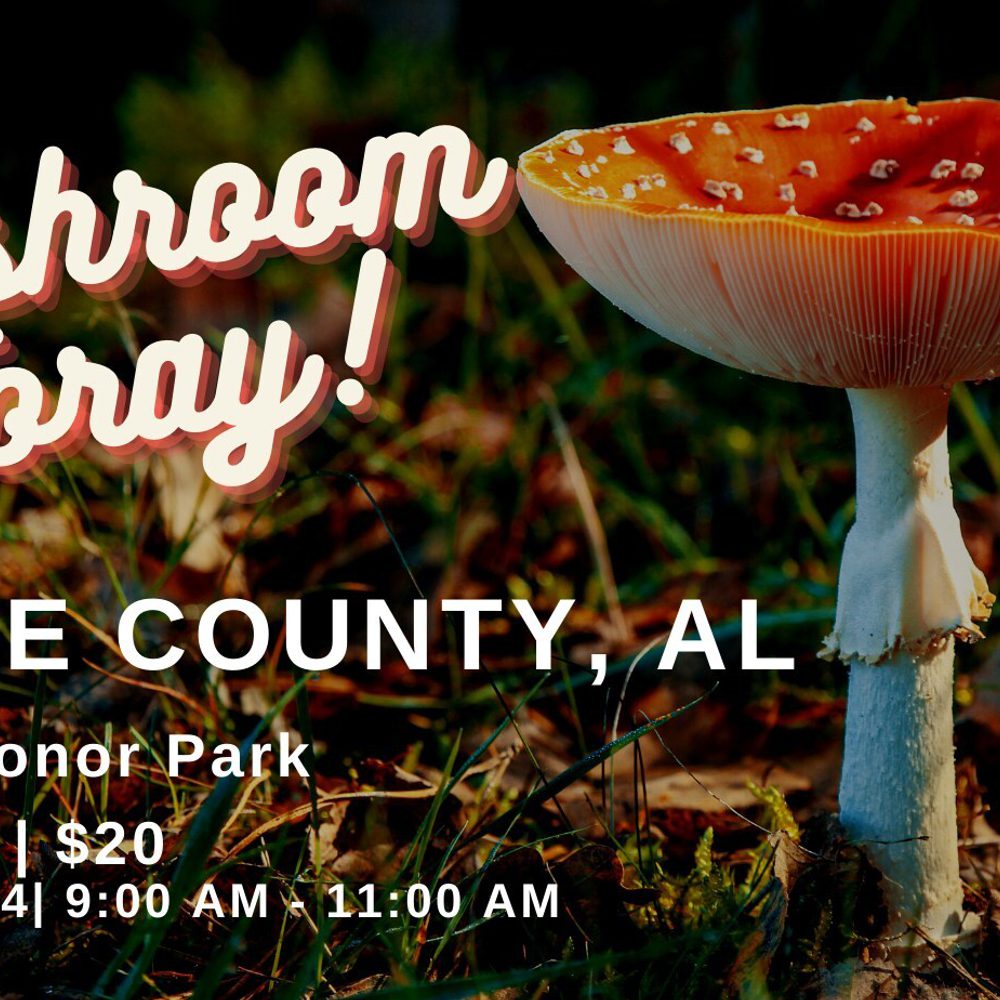 Muahroomforay Alabama News