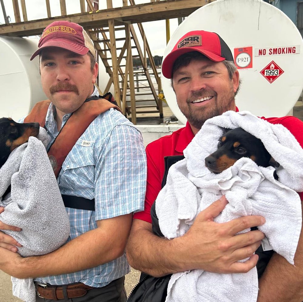 Puppiesrescued Alabama News