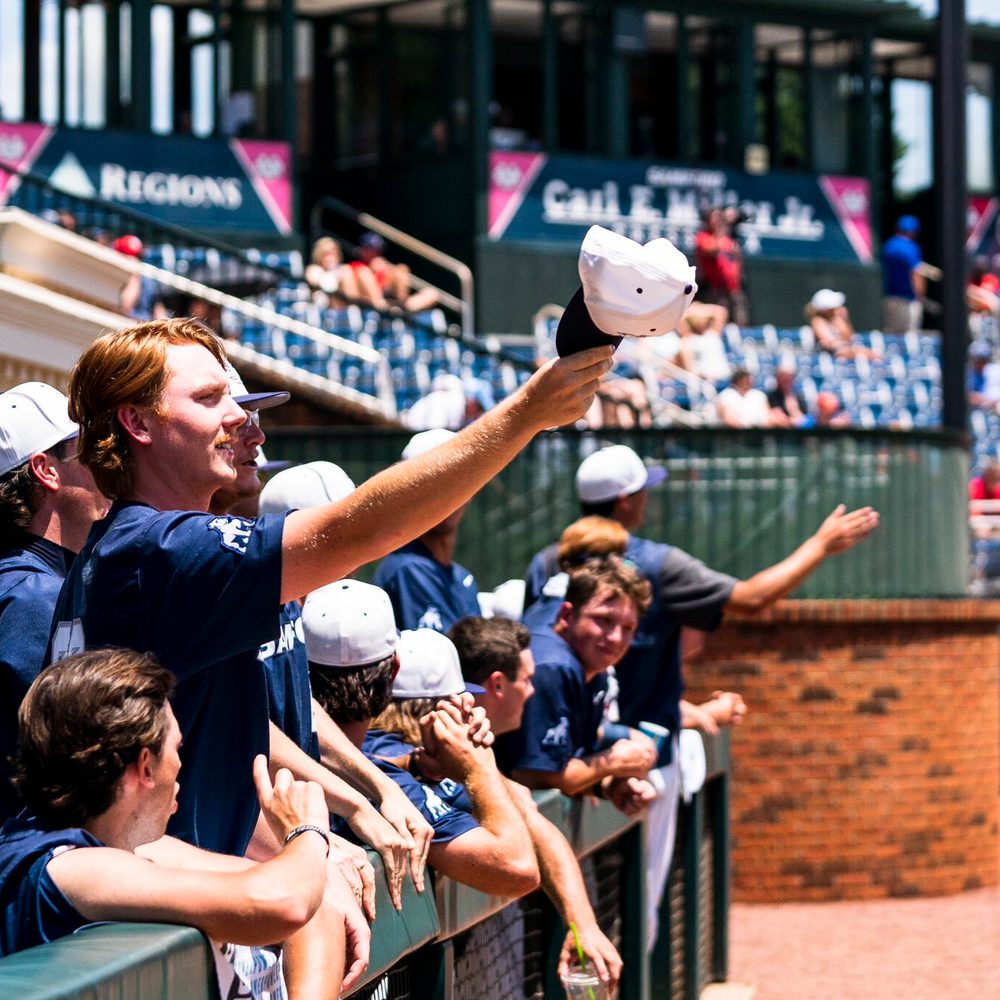 Samfordbaseballdugout Alabama News