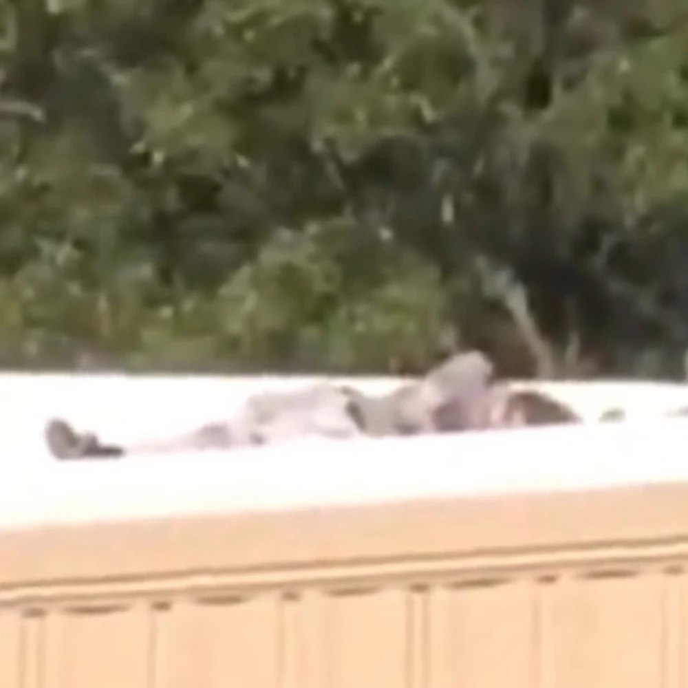 Shooteronroof Alabama News