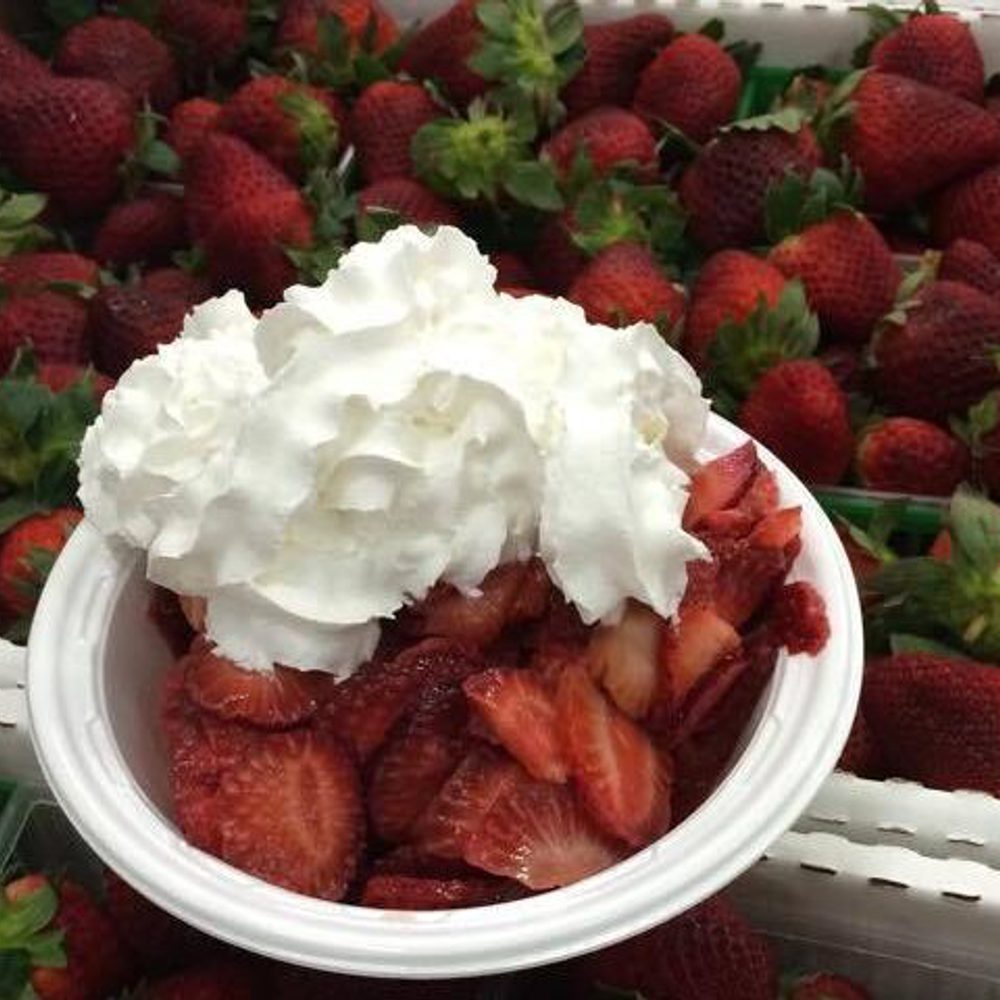 Strawberry Alabama News