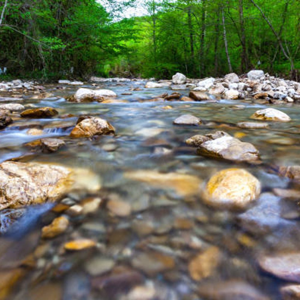 Streams Alabama News