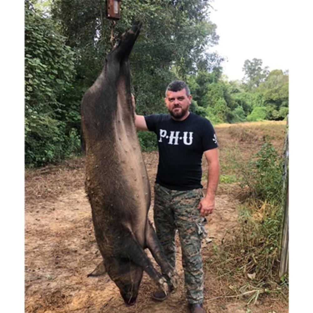 Wild hog by Eric Blankenship Alabama News