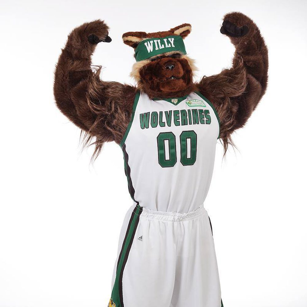 Willythewolverine Alabama News